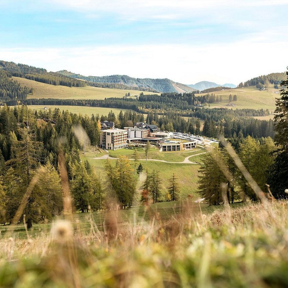 Almwellness Hotel Pierer - Selected hotel in Fladnitz an der Teichalm, Austria