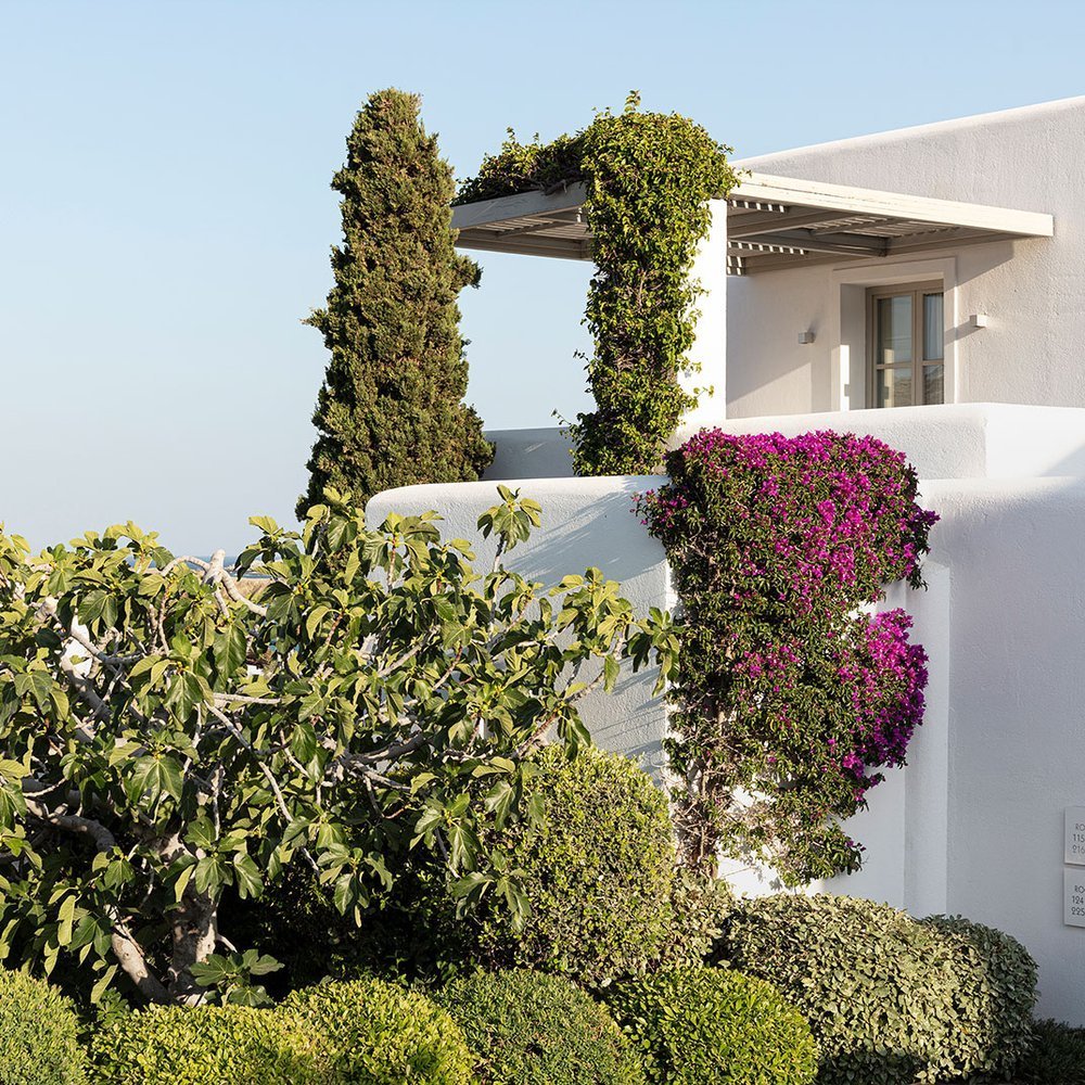 ANEMI Folegandros - Selected hotel in Folegandros, Greece