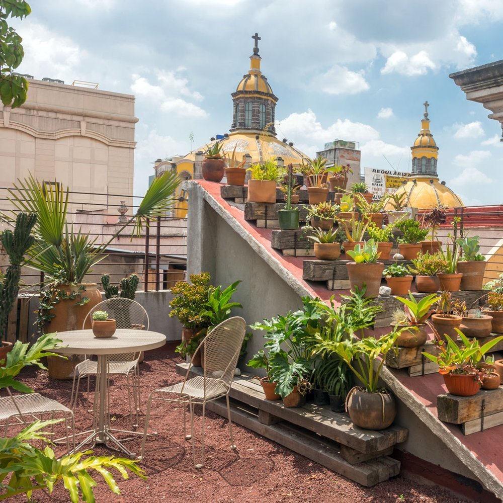 Chaya B&B Boutique - Selected hotel in Mexico City, Mexico