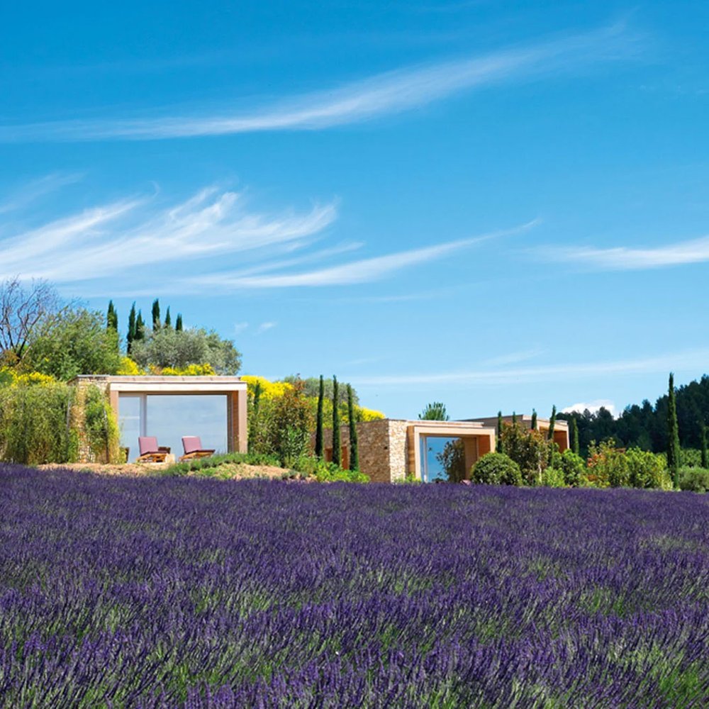 Domaine des Andeols - One-Keys hotel in Saint Saturnin, France