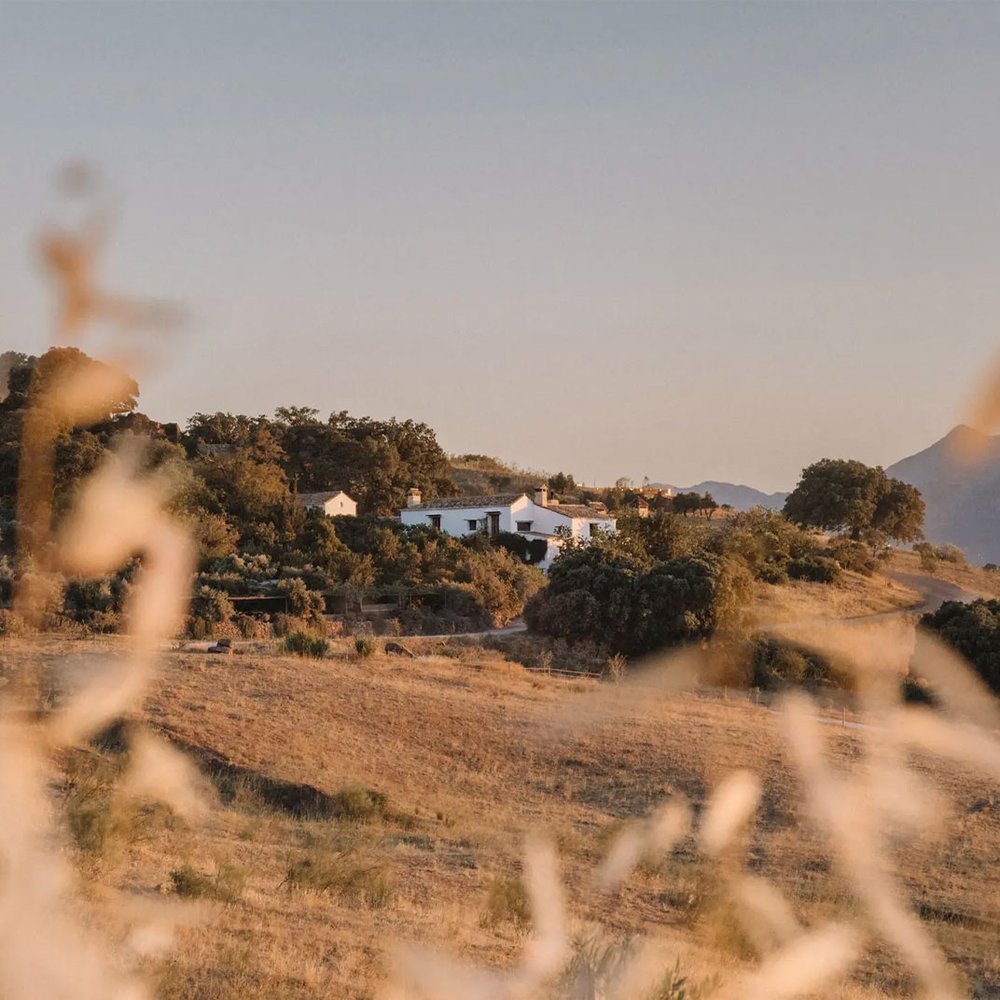 Finca La Donaira - Selected hotel in Montecorto, Spain