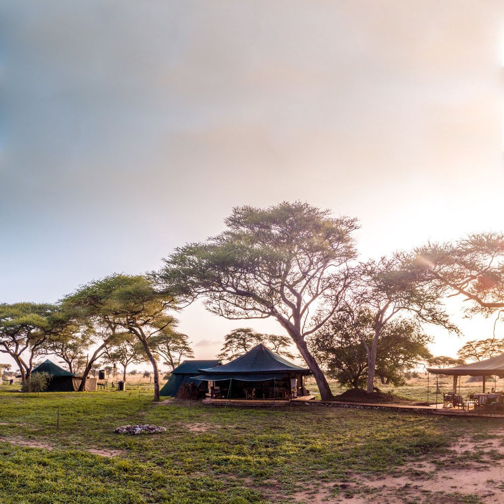 Honeyguide Tented Safari Camps - Selected hotel in Kruger National Park, South Africa
