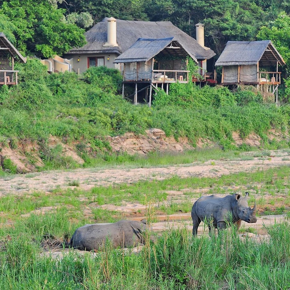 Jock Safari Lodge - Selected hotel in Marloth Park, South Africa