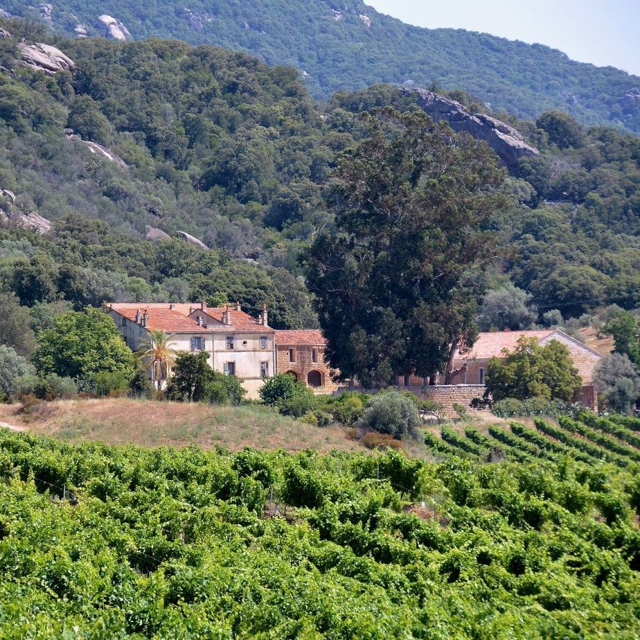 Le Hameau de Saparale - Selected hotel in Sartène, France