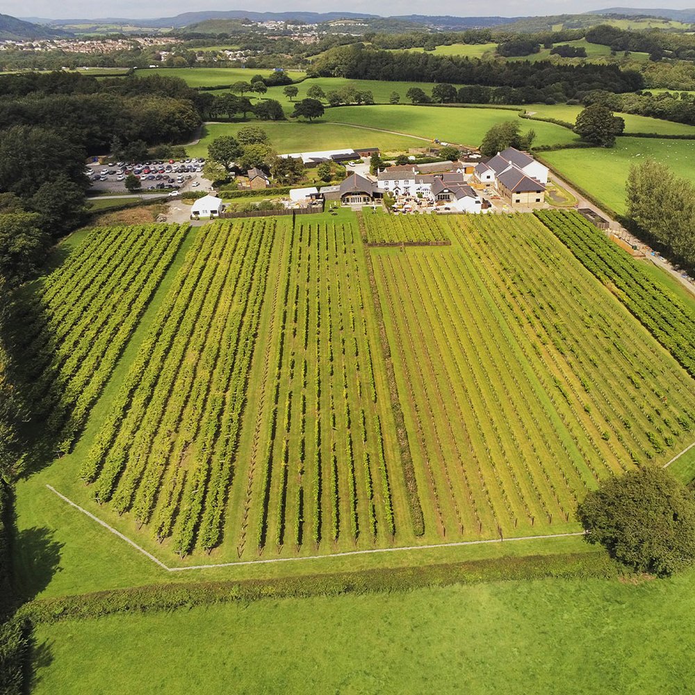 Llanerch Vineyard Hotel - Selected hotel in Pontyclun, Wales