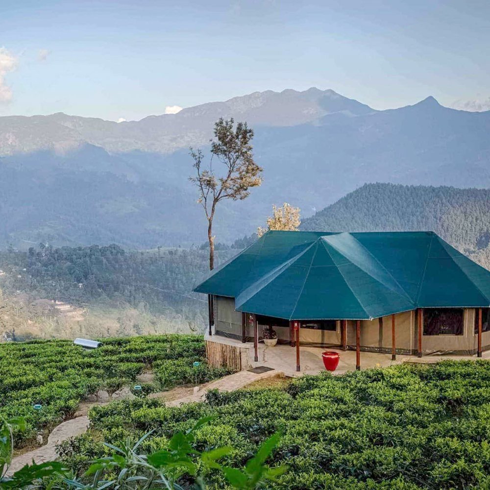 Madulkelle Tea & Eco Lodge - Selected hotel in Kandy, Sri Lanka