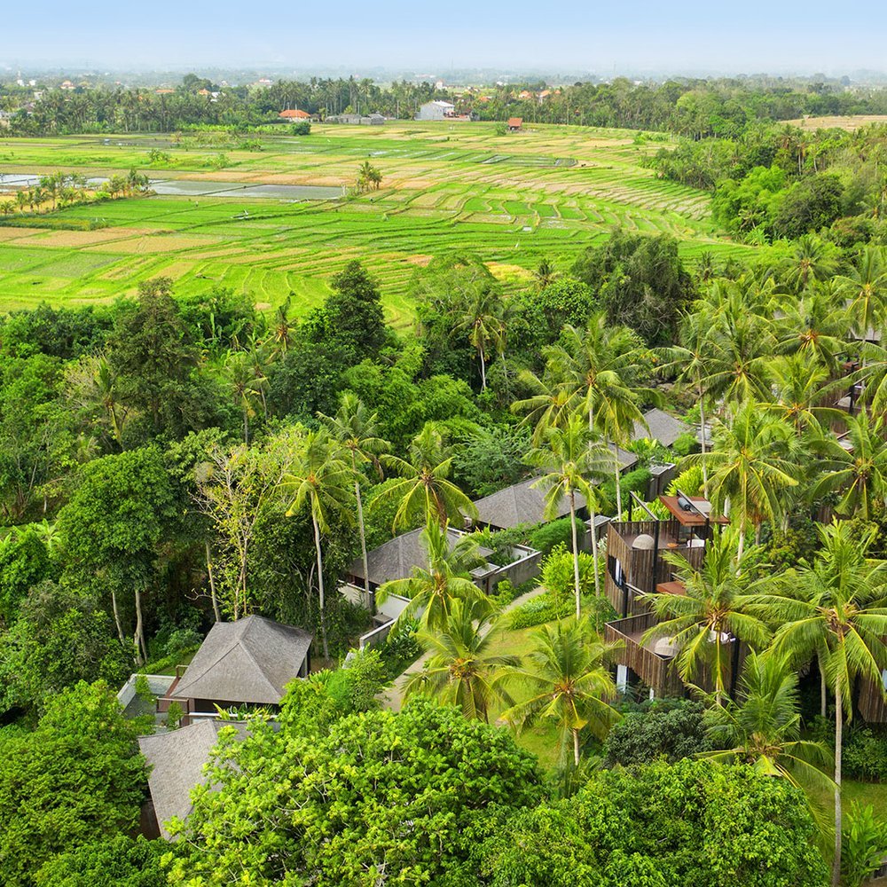Nirjhara - One-Keys hotel in Tabanan, Indonesia