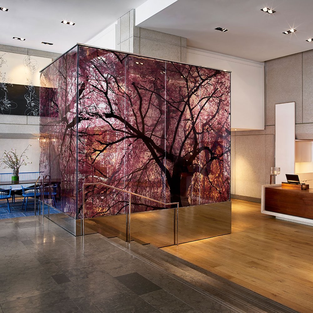 Park Hyatt Washington - Selected hotel in Washington D.C., United States