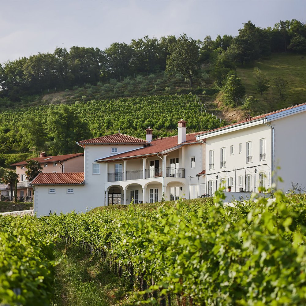Peterc Vineyard Estate - One-Keys hotel in Kojsko, Slovenia