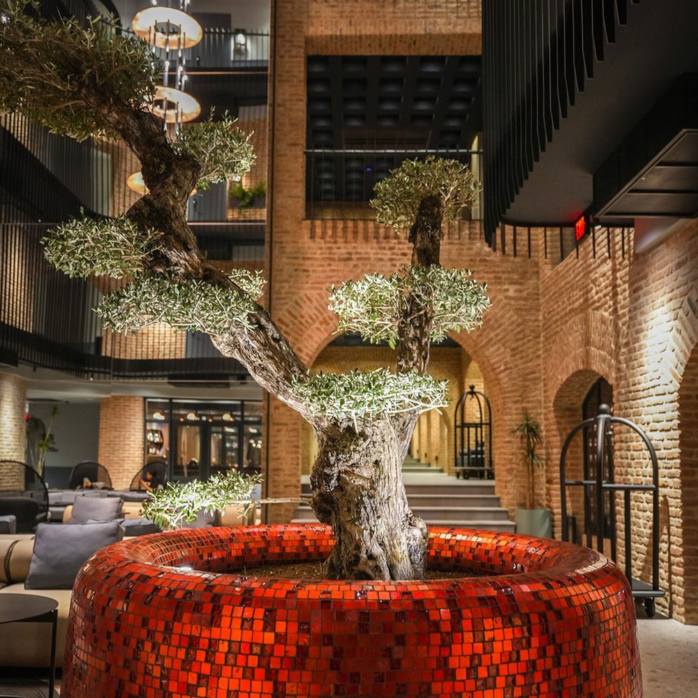 Qarvasla Hotel - Selected hotel in Tbilisi, Georgia