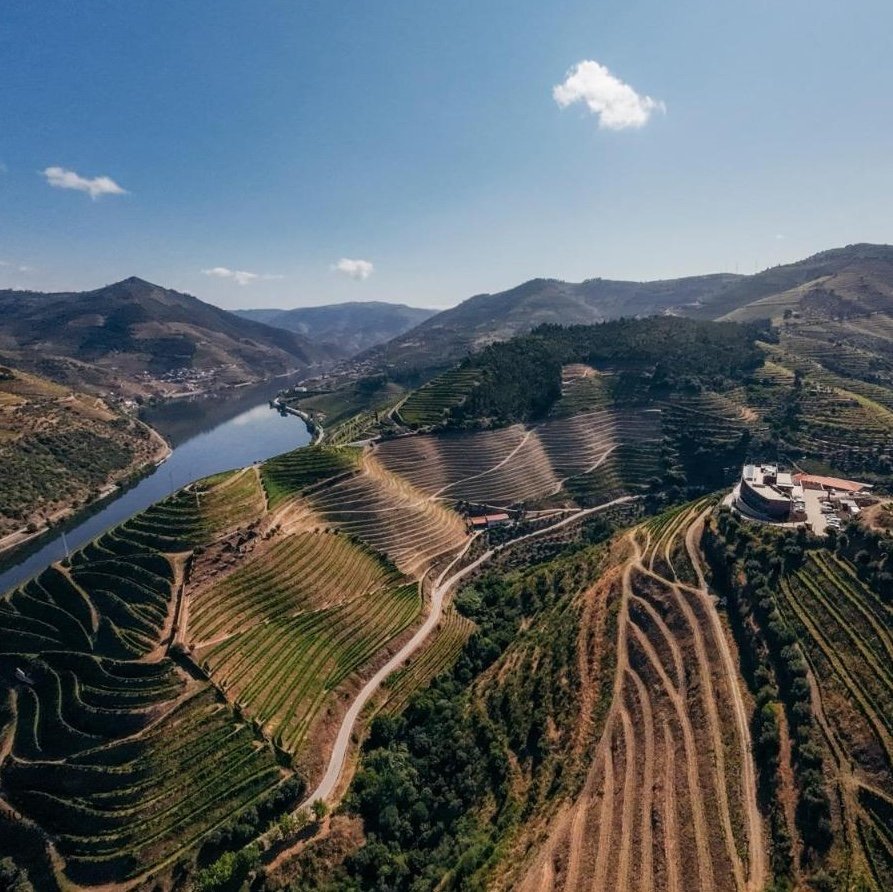 Quinta São Jose do Barrilario Douro Wine Hotel e Spa - One-Keys hotel in Armamar, Portugal