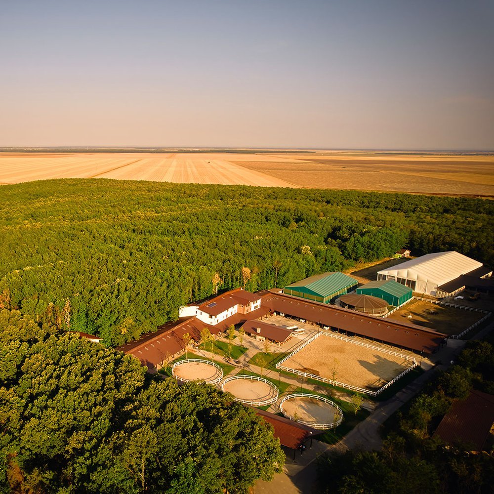 Singureni Manor Equestrian Retreat - One-Keys hotel in Bucharest, Romania