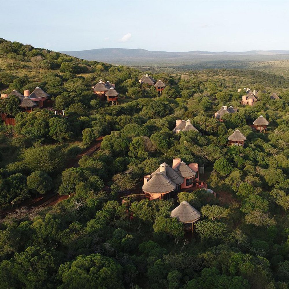 Thanda Safari - Private Game Reserve - One-Keys hotel in Hluhluwe, South Africa