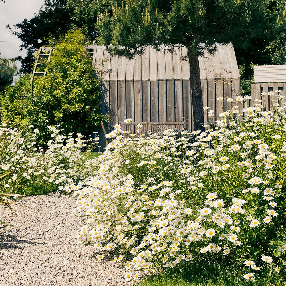 The Gallivant - One-Keys hotel in Rye, United Kingdom