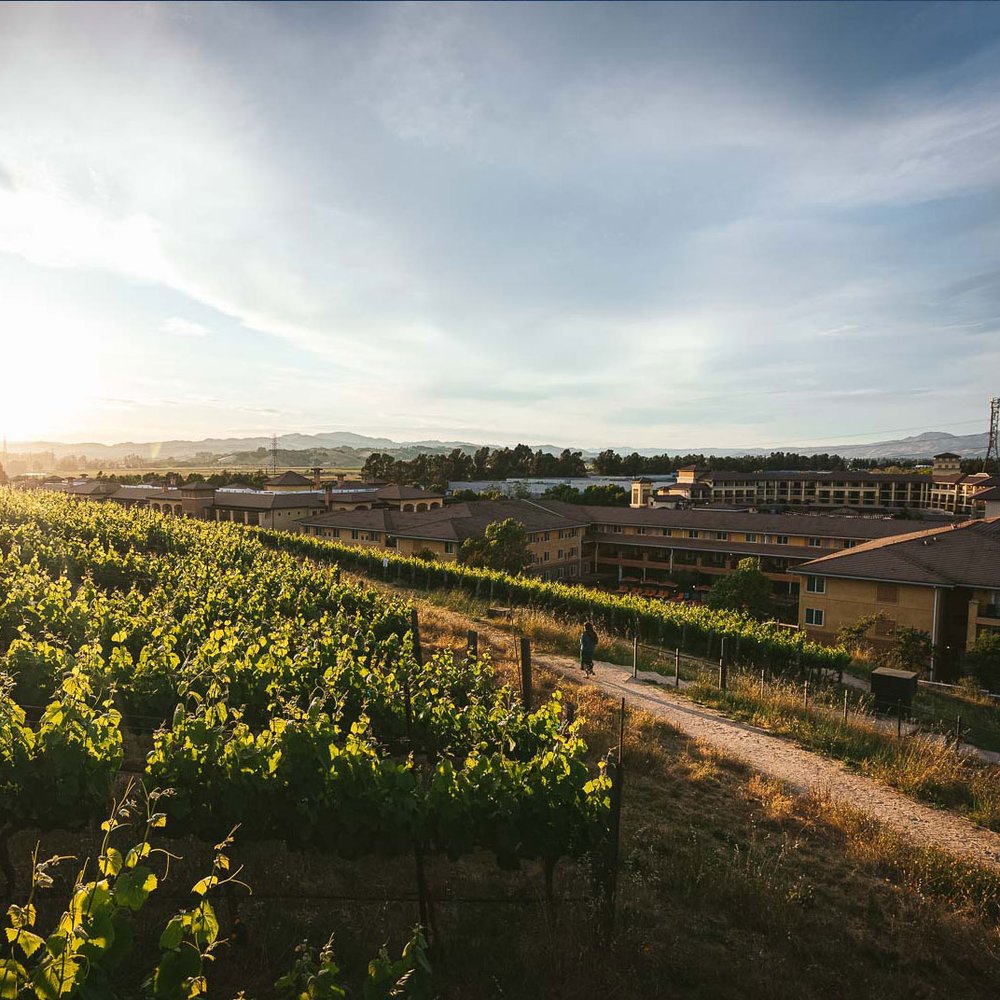 The Meritage Resort and Spa - Selected hotel in Napa / Sonoma Valleys, United States