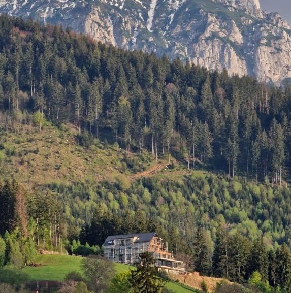 The Pines Bucegi Lodge - Selected hotel in Bran, Romania