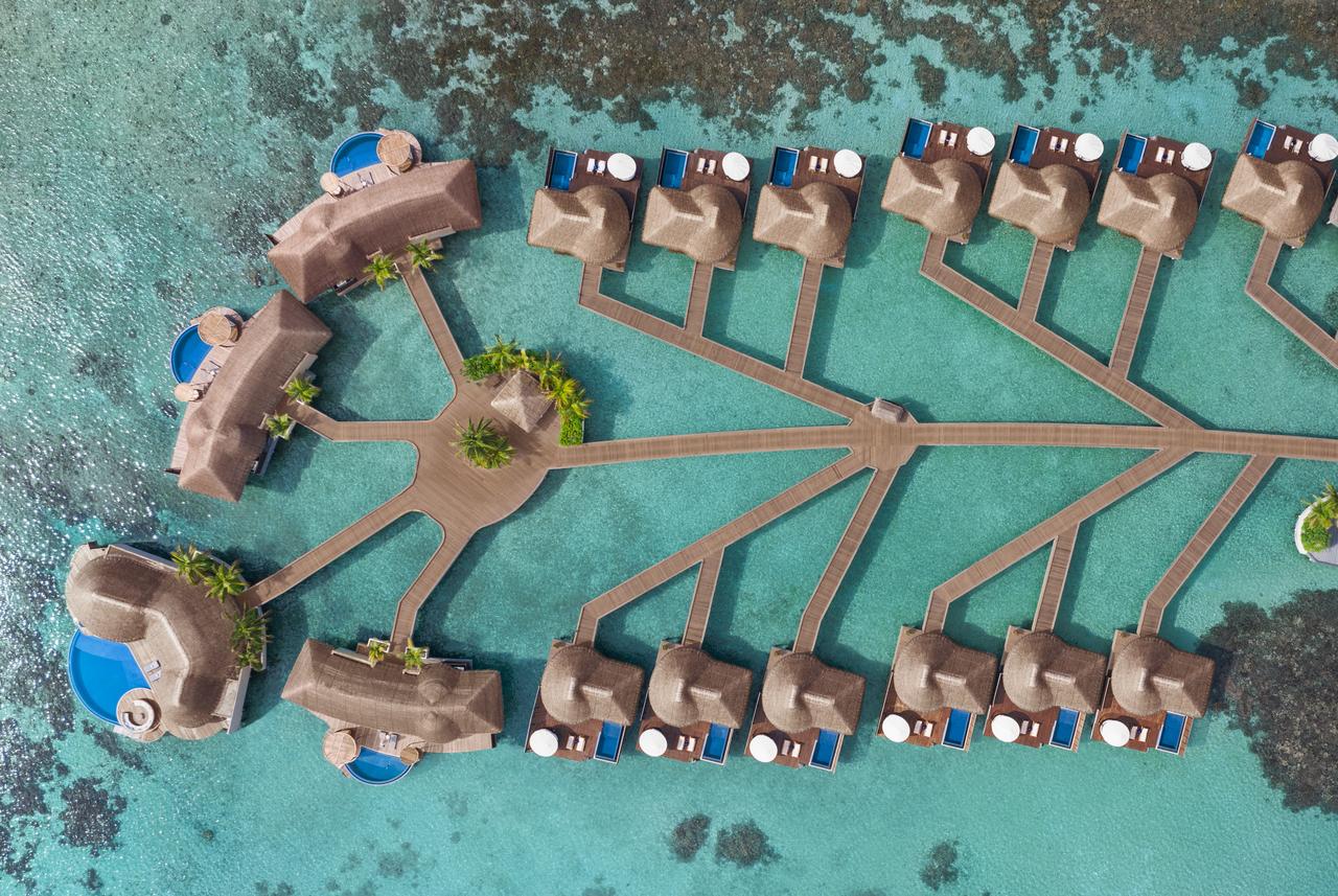 W Retreat & Spa Maldives - Selected hotel in Fesdu Island, Maldives